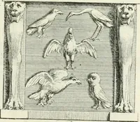 Picture 2 of 175 from Recueil d'antiquités egyptiennes, etrusques, grecques et romaines (1756), leaf 6