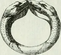 An illustration from Recueil d'antiquités egyptiennes, etrusques, grecques et romaines (1756)