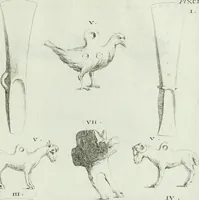 Picture 128 of 175 from Recueil d'antiquités egyptiennes, etrusques, grecques et romaines (1756), leaf 678