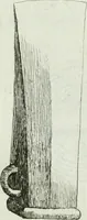 An illustration from Recueil d'antiquités egyptiennes, etrusques, grecques et romaines (1756)
