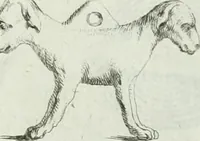 An illustration from Recueil d'antiquités egyptiennes, etrusques, grecques et romaines (1756)