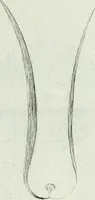 An illustration from Recueil d'antiquités egyptiennes, etrusques, grecques et romaines (1756)