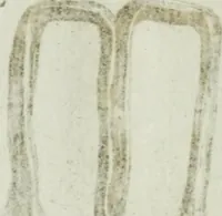 An illustration from Recueil d'antiquités egyptiennes, etrusques, grecques et romaines (1756)