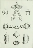 An illustration from Recueil d'antiquités egyptiennes, etrusques, grecques et romaines (1756)