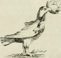 An illustration from Recueil d'antiquités egyptiennes, etrusques, grecques et romaines (1756)