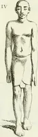 An illustration from Recueil d'antiquités egyptiennes, etrusques, grecques et romaines (1756)