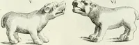 An illustration from Recueil d'antiquités egyptiennes, etrusques, grecques et romaines (1756)