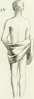 An illustration from Recueil d'antiquités egyptiennes, etrusques, grecques et romaines (1756)