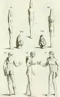 Picture 64 of 227 from Recueil d'antiquités egyptiennes, etrusques, grecques et romaines (1756), leaf 498