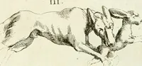 An illustration from Recueil d'antiquités egyptiennes, etrusques, grecques et romaines (1756)