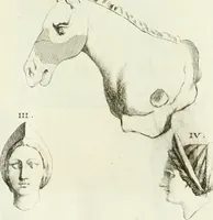 An illustration from Recueil d'antiquités egyptiennes, etrusques, grecques et romaines (1756)