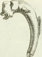 An illustration from Recueil d'antiquités egyptiennes, etrusques, grecques et romaines (1756)