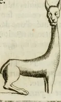 An illustration from Recueil d'antiquités egyptiennes, etrusques, grecques et romaines (1756)