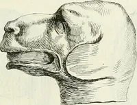 An illustration from Recueil d'antiquités egyptiennes, etrusques, grecques et romaines (1756)
