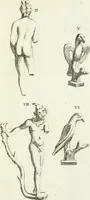 Picture 95 of 217 from Recueil d'antiquités egyptiennes, etrusques, grecques et romaines (1756), leaf 462