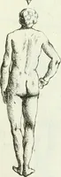 An illustration from Recueil d'antiquités egyptiennes, etrusques, grecques et romaines (1756)