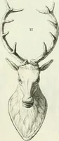 An illustration from Recueil d'antiquités egyptiennes, etrusques, grecques et romaines (1756)