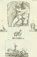 Picture 145 of 217 from Recueil d'antiquités egyptiennes, etrusques, grecques et romaines (1756), leaf 520