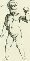 An illustration from Recueil d'antiquités egyptiennes, etrusques, grecques et romaines (1756)