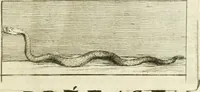 Picture 4 of 256 from Recueil d'antiquités egyptiennes, etrusques, grecques et romaines (1756), leaf 10