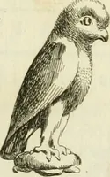 An illustration from Recueil d'antiquités egyptiennes, etrusques, grecques et romaines (1756)