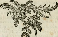 An illustration from Recueil d'antiquités egyptiennes, etrusques, grecques et romaines (1756)