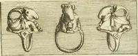 Picture 21 of 256 from Recueil d'antiquités egyptiennes, etrusques, grecques et romaines (1756), leaf 354