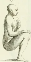 An illustration from Recueil d'antiquités egyptiennes, etrusques, grecques et romaines (1756)