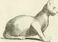 An illustration from Recueil d'antiquités egyptiennes, etrusques, grecques et romaines (1756)