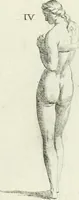 An illustration from Recueil d'antiquités egyptiennes, etrusques, grecques et romaines (1756)