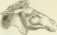 An illustration from Recueil d'antiquités egyptiennes, etrusques, grecques et romaines (1756)