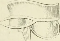 An illustration from Recueil d'antiquités egyptiennes, etrusques, grecques et romaines (1756)