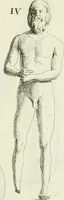 An illustration from Recueil d'antiquités egyptiennes, etrusques, grecques et romaines (1756)