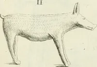 An illustration from Recueil d'antiquités egyptiennes, etrusques, grecques et romaines (1756)