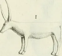 An illustration from Recueil d'antiquités egyptiennes, etrusques, grecques et romaines (1756)