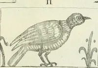 An illustration from Recueil d'antiquités egyptiennes, etrusques, grecques et romaines (1756)