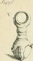 An illustration from Recueil d'antiquités egyptiennes, etrusques, grecques et romaines (1756)