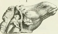 An illustration from Recueil d'antiquités egyptiennes, etrusques, grecques et romaines (1756)