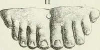 An illustration from Recueil d'antiquités egyptiennes, etrusques, grecques et romaines (1756)