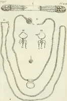 Picture 189 of 192 from Recueil d'antiquités egyptiennes, etrusques, grecques et romaines (1756), leaf 560