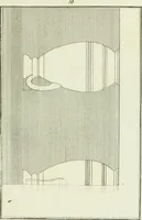 Picture 58 of 73 from Antiquités étrusques, grecques et romaines : ou les beaux vases étrusques, grecs et romains, et les peintures rendues avec les couleurs qui leur sont propres (1787), leaf 230