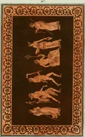 An illustration from Antiquités étrusques, grecques et romaines : ou les beaux vases étrusques, grecs et romains, et les peintures rendues avec les couleurs qui leur sont propres (1787)