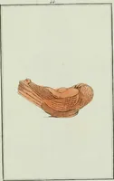 An illustration from Antiquités étrusques, grecques et romaines : ou les beaux vases étrusques, grecs et romains, et les peintures rendues avec les couleurs qui leur sont propres (1787)