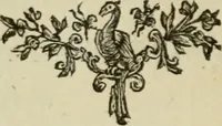 Picture 15 of 36 from A description of the antiquities and curiosities in Wilton-House : illustrated with twenty-five engravings of some of the capital statues, bustos and relievos : in this work are introduced the anecdotes and remarks of Thomas earl of Pembroke, who collected these antiques, now first published from His Lordship's mss. (1769), leaf 115