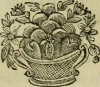 An illustration from A description of the antiquities and curiosities in Wilton-House : illustrated with twenty-five engravings of some of the capital statues, bustos and relievos : in this work are introduced the anecdotes and remarks of Thomas earl of Pembroke, who collected these antiques, now first published from His Lordship's mss. (1769)