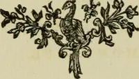 Picture 36 of 36 from A description of the antiquities and curiosities in Wilton-House : illustrated with twenty-five engravings of some of the capital statues, bustos and relievos : in this work are introduced the anecdotes and remarks of Thomas earl of Pembroke, who collected these antiques, now first published from His Lordship's mss. (1769), leaf 218