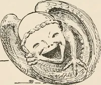 An illustration from Antiquities and curiosities of the church (1897)