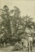 An illustration from Antiquities and curiosities of the church (1897)