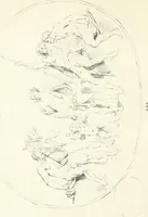 An illustration from Antiquities explained : being a collection of figured gems, illustrated by similar descriptions taken from the classics (1737)