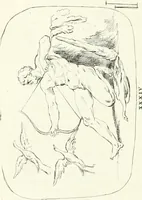 An illustration from Antiquities explained : being a collection of figured gems, illustrated by similar descriptions taken from the classics (1737)